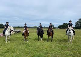 Image result for Chiddingfold Branch Of The Pony Club