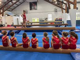 Image result for Southport Aerobics Gymnastics Club