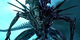 Image result for xenomorph