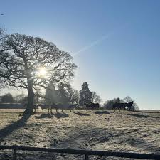Image result for Cowdray Park Polo Club