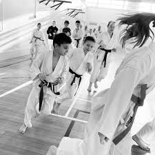 Image result for Konjaku Shin National School Of Karate, Lincolnshire