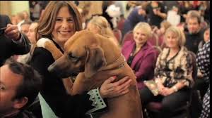 Janice Wolfe and her Dog Wyatt bring Hope during National Autism Awareness Month and Beyond… - jane-with-wyatt