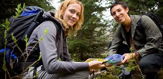 Image result for Wobbly Geocaching Club