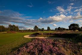 Image result for Walton Heath Golf Club