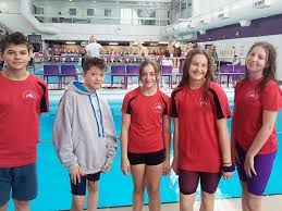 Image result for Grimsby Alexander Dolphins Swimming Club