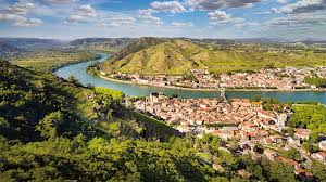 Image result for rôtie