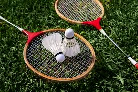 Image result for Basingstoke Racketeers Badminton Club