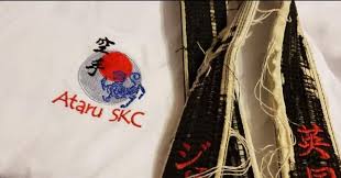 Image result for Ataru Shotokan Karate Club