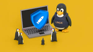 Image result for 3d linux penguin