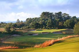 Image result for Broadstone Cricket Club