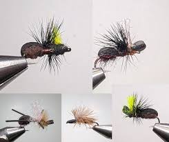 Image result for Segdoune Flyfishers` Angling Club