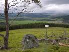a single piper Hamish, - via Daymix