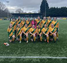 Image result for Hassocks Ladies FC