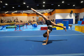 Image result for Sports Acro