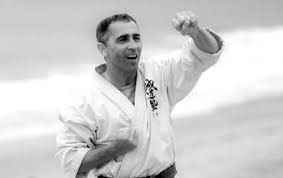 Image result for Aylesbury Vale Seido Karate