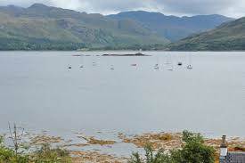 Image result for Lochcarron Camanachd