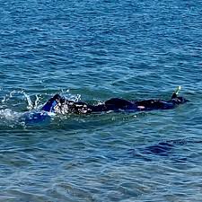 Image result for Bedford Scuba Divers