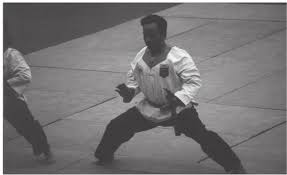 Image result for Han Wong Tae Kwon Do Academy