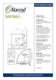 Image result for Pitch marking blog