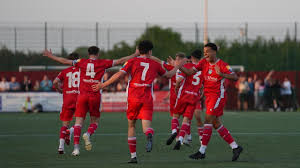 Image result for Dorking Football Club Limited