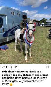 Image result for Chiddingfold Branch Of The Pony Club