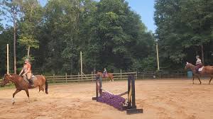 Image result for Palmers Riding Stables