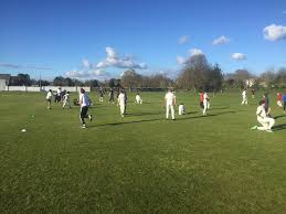Image result for Dorchester Cricket Club