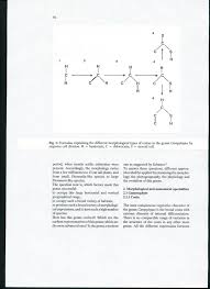 Attēlu rezultāti vaicājumam “Campylopus pyriformis sporophyte”