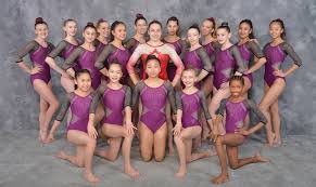 Image result for Phoenix Gymnastics