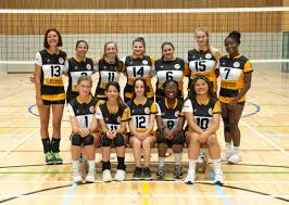 Image result for Bournside Volleyball Club
