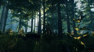 Image result for лес,