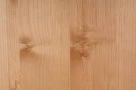 Image result for Alder Cc