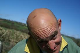 Image result for Purnell Cricket Club