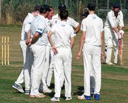 Image result for Chichester Priory Park Cc