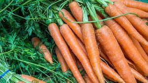 Image result for Möhren