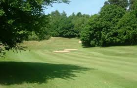 Image result for Dorking Lawn Tennis Club