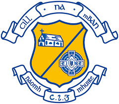 Image result for Moy Tir Na Nog Gfc