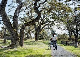 Image result for Birkenhead Victoria Cycling Club