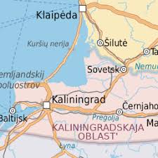 Attēlu rezultāti vaicājumam “Licea testudinacea young”