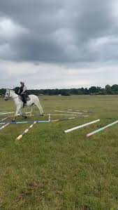 Image result for Abinger Forest Riding Club