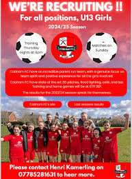 Image result for Redhill Girls Football Club