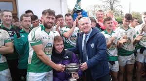 Image result for Shamrocks Hurling & Football Club