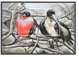 Image result for Fregata aquila