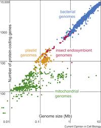 Image result for genome sizes