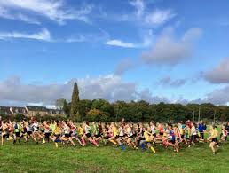 Image result for Manchester Harriers & Athletics Club