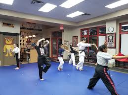 Image result for Surrey Taekwondo