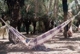 Image result for Capoeira Agora