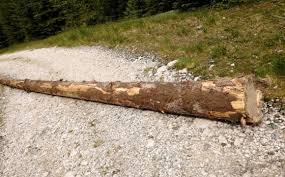 Image result for Tabele de Cubaj Pentru Lemn Rotund tehron