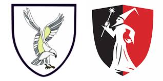 Image result for Swansea Rfc