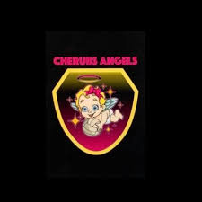 Image result for The Angels Netball Club